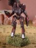allensoles-anubis-01.jpg