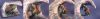 Filename=contest-mediumfree-04.jpg
Filesize=55KB
Dimensions=1200x229
Date added=Apr 12, 2005 contest-mediumfree-04.jpg